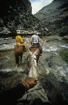 Wyoming Ranch Adventure - Branding Fire